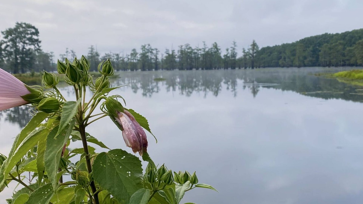 Saint Maurice House | Beautiful Lake House located just 19 minutes from Historic Downtown Natchitoches