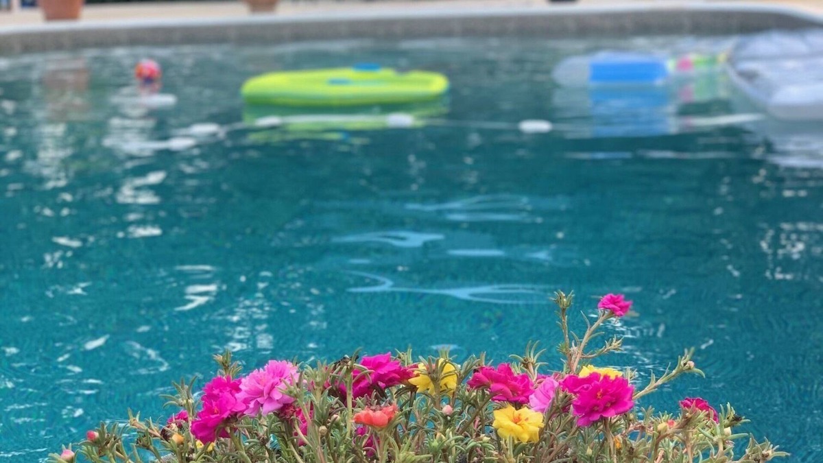 Statesboro House | Beautiful mid-century ranch with POOL!