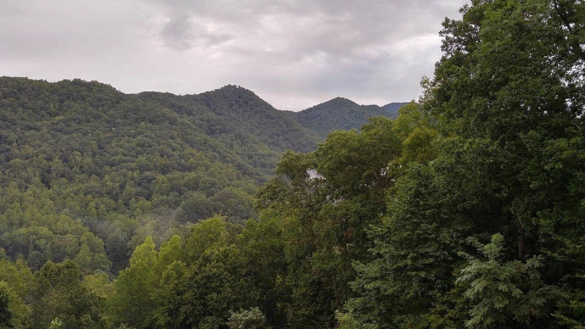 Barnardsville House | Beautiful Mountain views with private balcony close to Asheville, NC