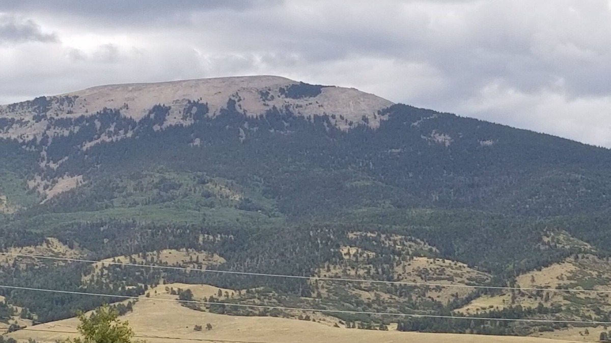 Eagle Nest House | Beautiful Mountain Views. Cozy/Quiet & centrally located to all the mountain fun