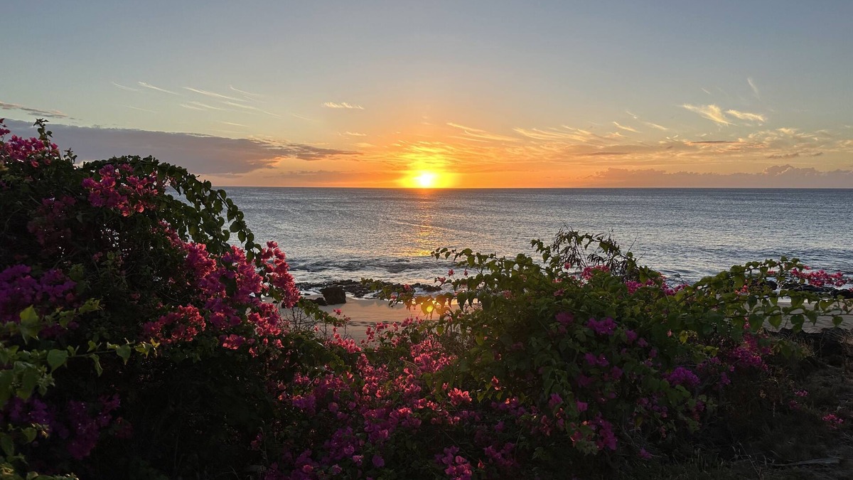 Maunaloa Condo | Beautiful Ocean-View unit with easy beach access. Ask about vehicle option.