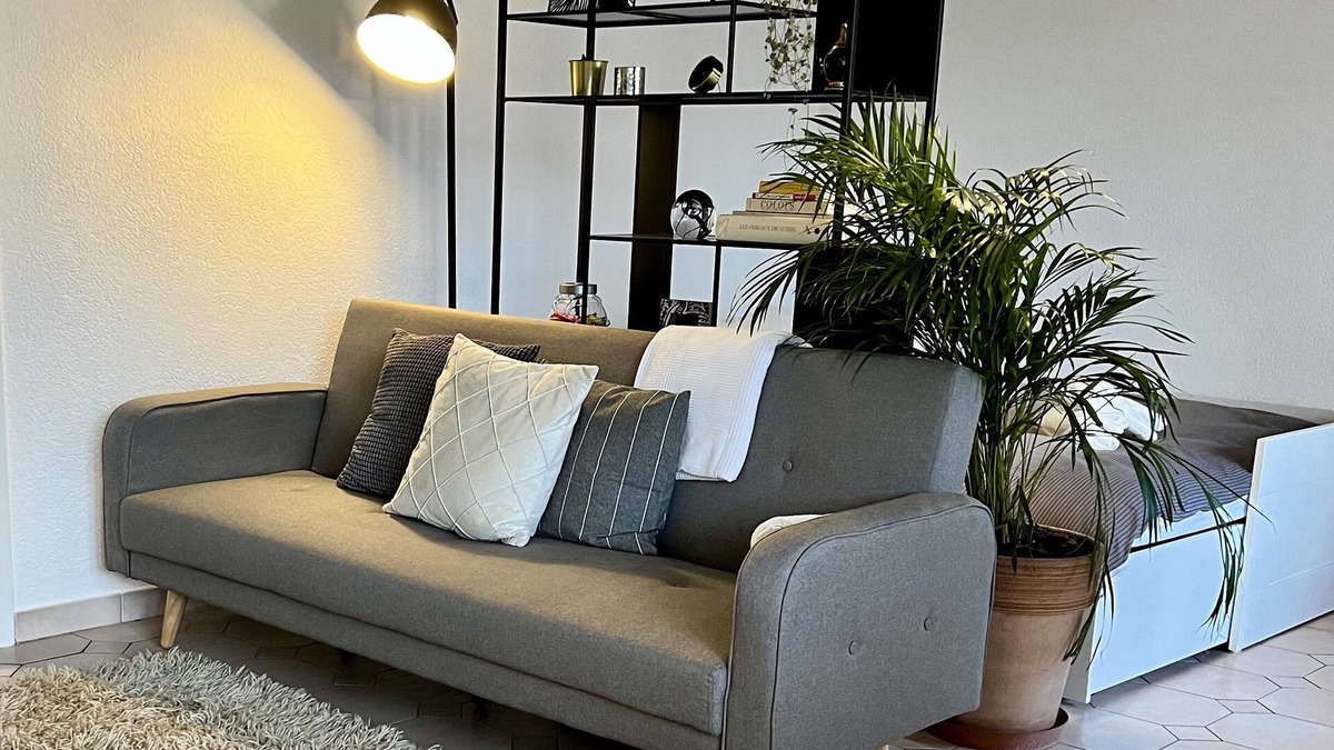 Petit-Saconnex Apartment | Beautiful Park View apartment next to UN
