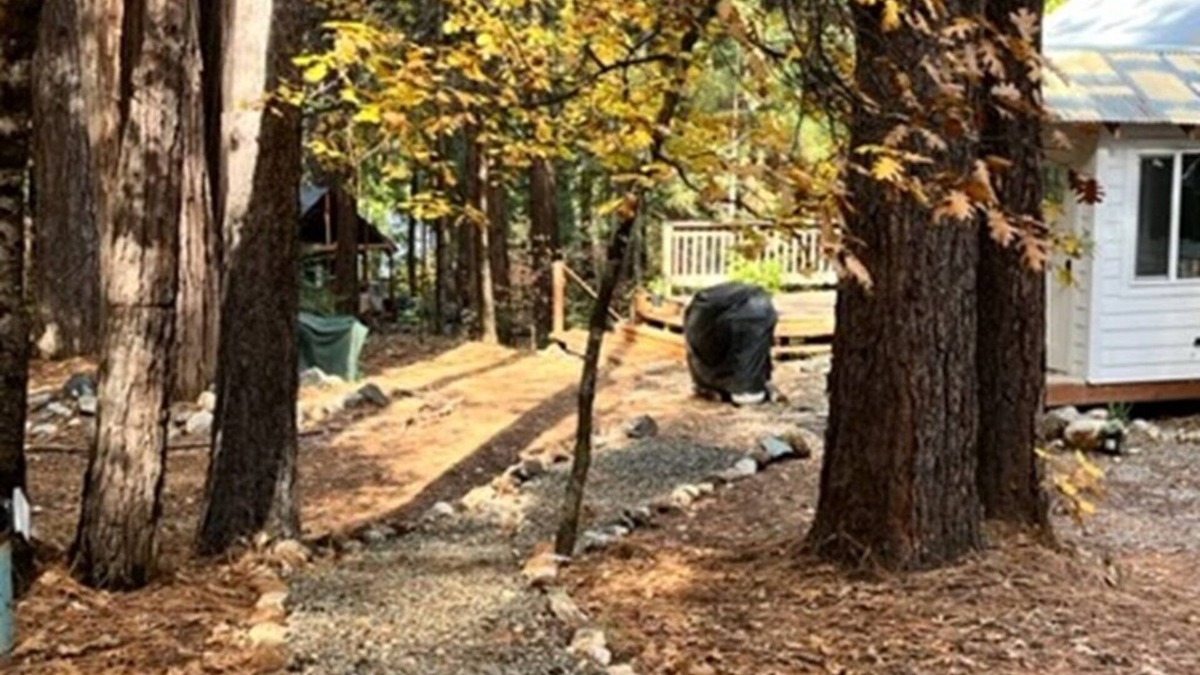 Alta Cabin | Beautiful, Peaceful Family and Pet Friendly Cabin in Woods. Sleeps 10.