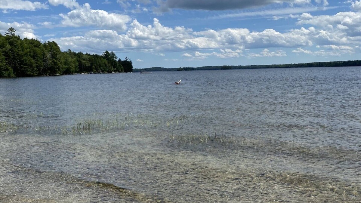 Ellsworth House | Beautiful private beach area within steps from the modern updated log home