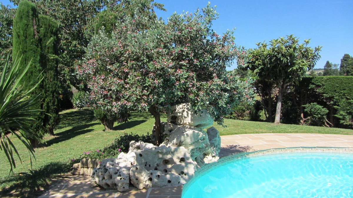 Lavardac House | Beautiful renovated independent house with swimming pool and large enclosed garden