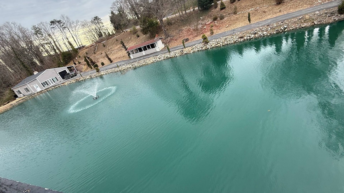 Cave Spring House | Beautiful Renovated Lake Cottage in SW County and only minutes from Downtown!