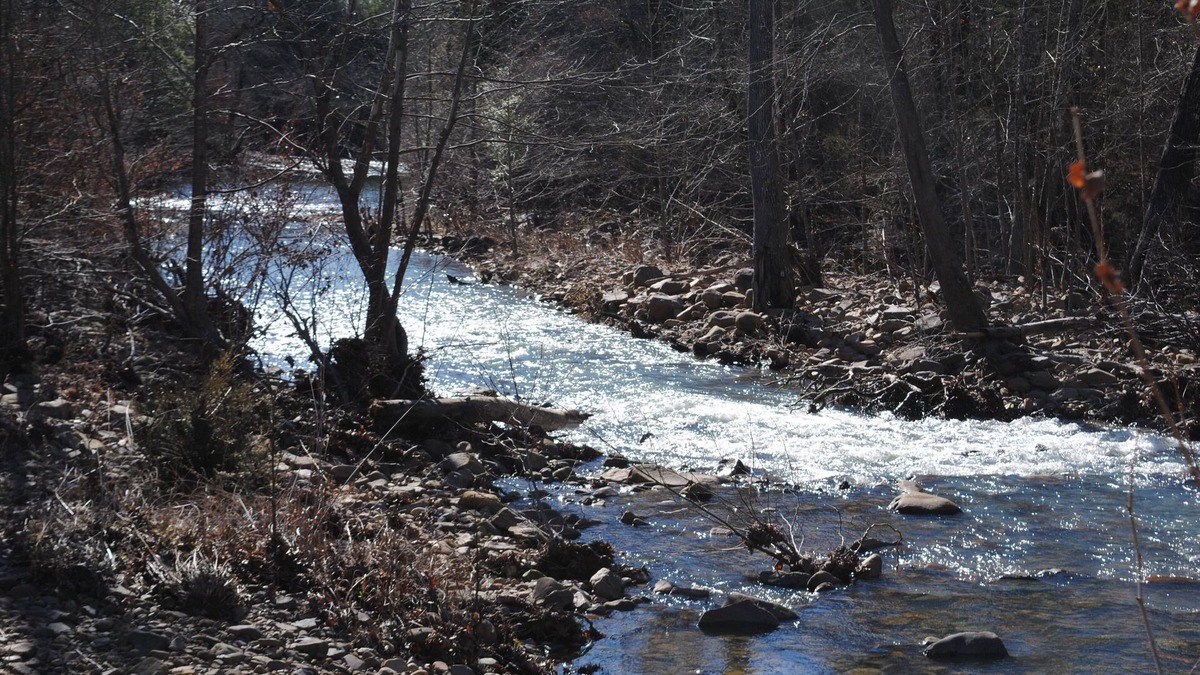 Smithville Cabin | Beautiful secluded cottage with gated privacy.