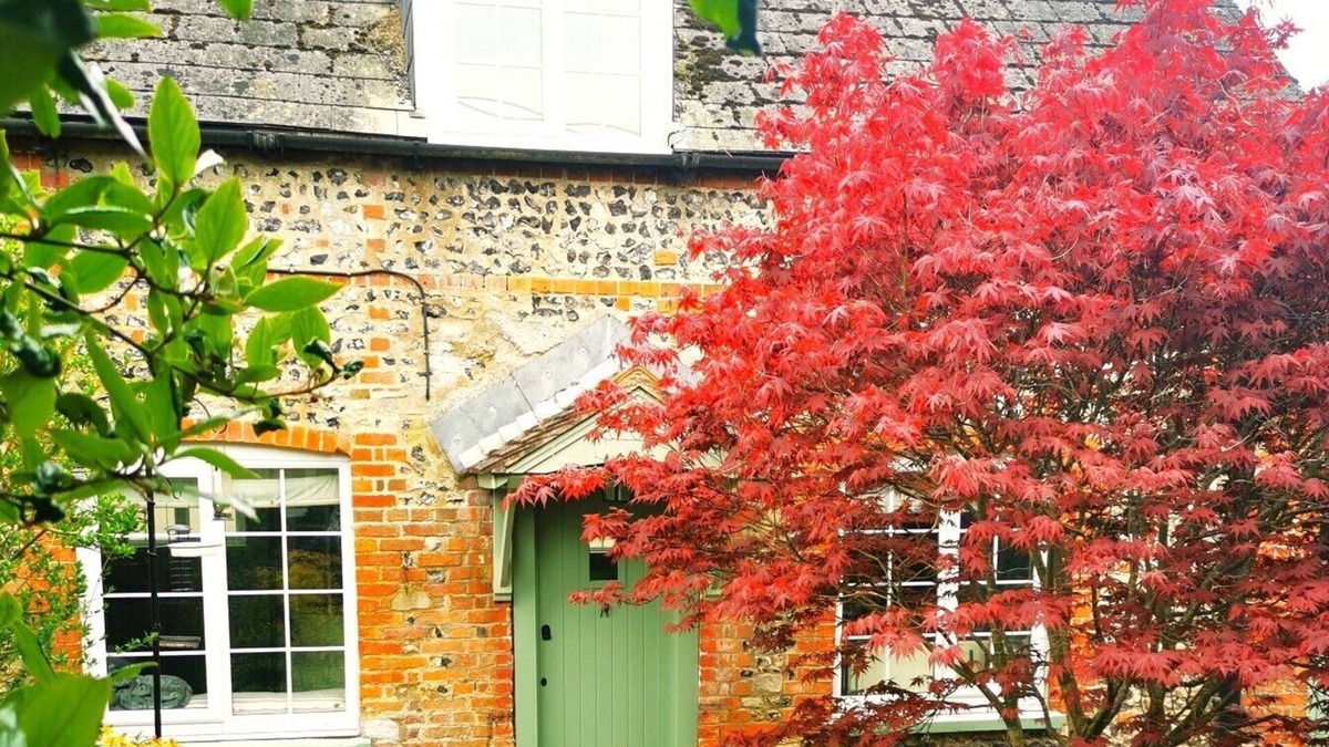 Shrewton Cottage | Beautiful, traditional rural cottage