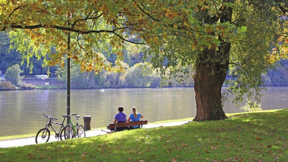 Sankt Aldegund House | Beautiful vacation home on the Moselle in a cozy wine village