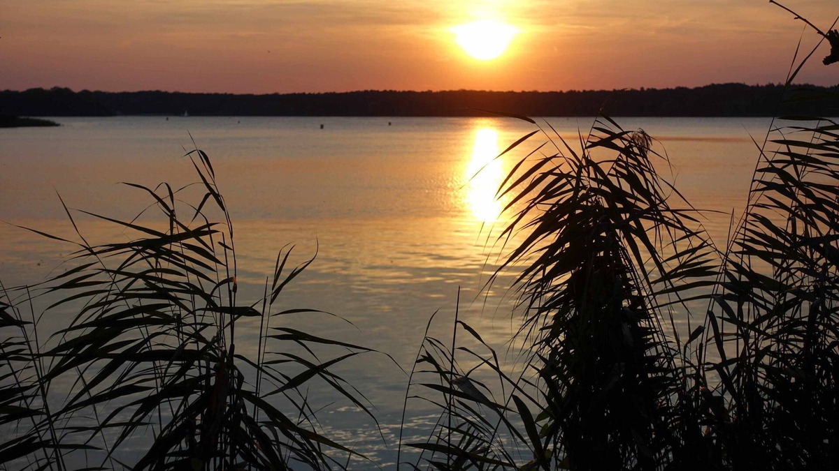 Tegel Apartment | Beautiful vacation accommodation near Lake Tegel