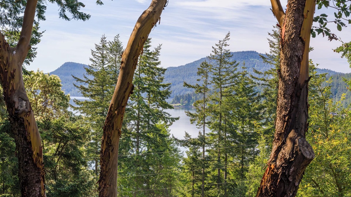 Eastsound House | Beautiful Water Views, Pet- Friendly, Close to Town, Beaches, Hiking, Kayaking