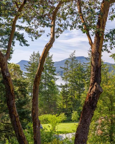 Eastsound House | Beautiful Waterviews, Pet-friendly, Close To Town