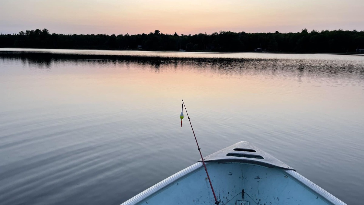 Lake Linden House | Beautiful Wooded Lakefront Property with 5 bedrooms and 3 full baths!