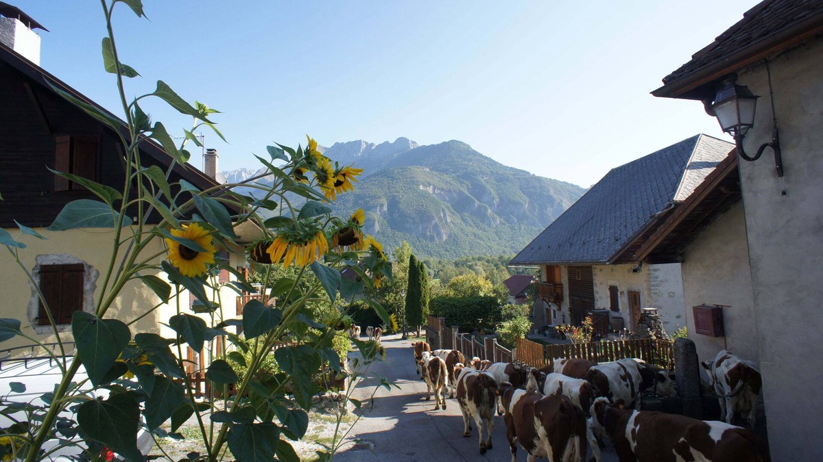 Giez House | Beautifuly Converted Farm House close to Lake Annecy and Mountains