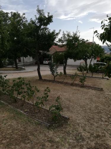 San Bartolomeo in Galdo Bed & Breakfast | Bed and Breakfast "POGGIO MARANO"