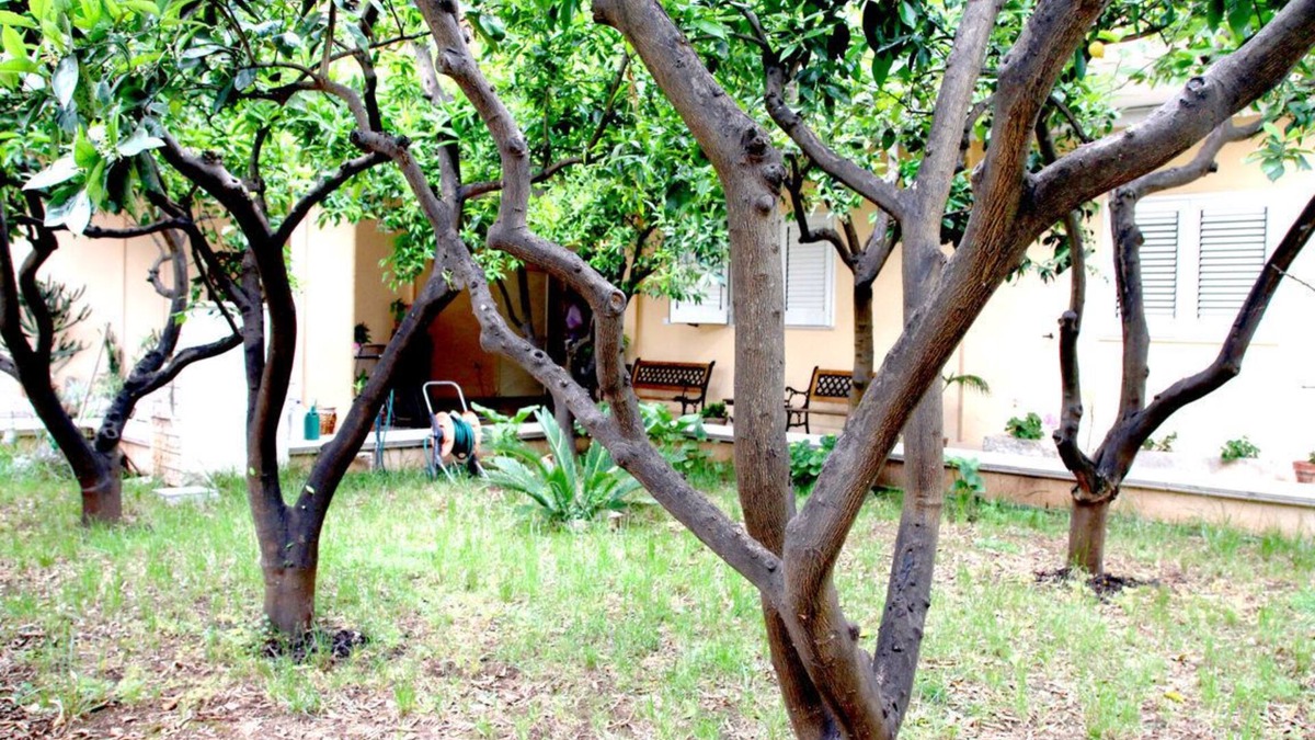 San Donaci Bed & Breakfast | Bed and Breakfast L'Aranceto