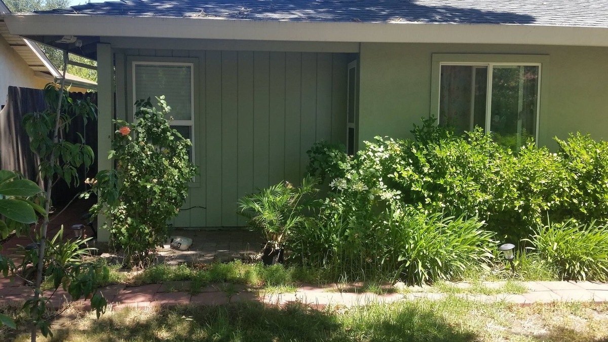 West Davis Manor Bed & Breakfast | Bed and Breakfast