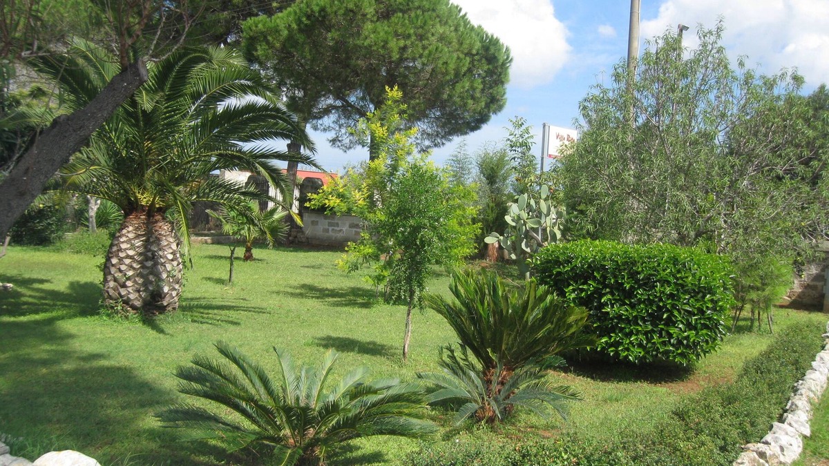 Campi Salentina Bed & Breakfast | Bed & Breakfast Villa Rita