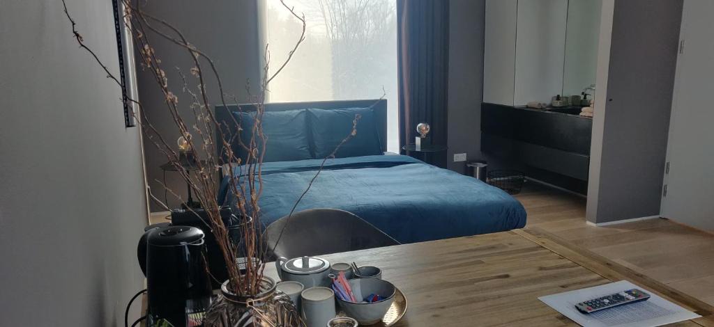 Boxtel Bed & Breakfast | Bed & Wellness Boxtel, luxe kamer met airco en eigen badkamer