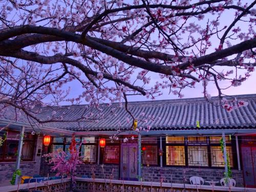 Badalingzhen House | Beijing Badaling Great Wall Caos Courtyard Hostel 1Private english tour guide 2Pick up&Drof off &landmark visiting serivice3Very near to Badaling Great Wall4Offer free beijing travel guide5Traditonal Chinese courtyard