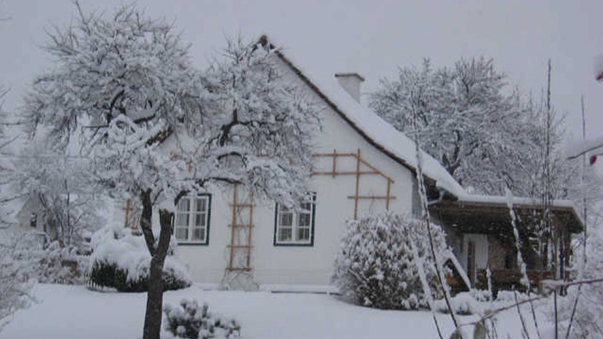 Poellauberg Apartment | Beim Schachnerhaus - Urlaub so wie ich ihn Mag! - Schachnerhaus - Genuss-card Partner 1