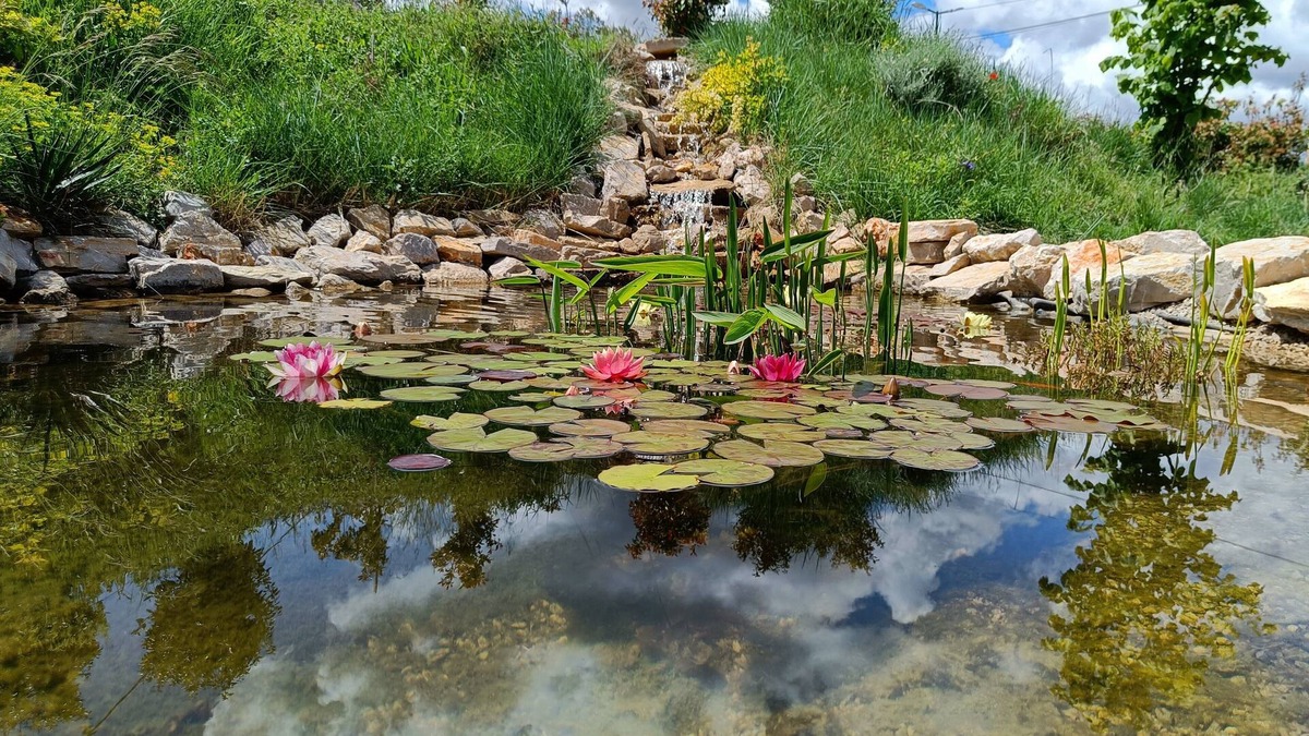 Rians Villa | Belle Villa Avec Piscine et spa
