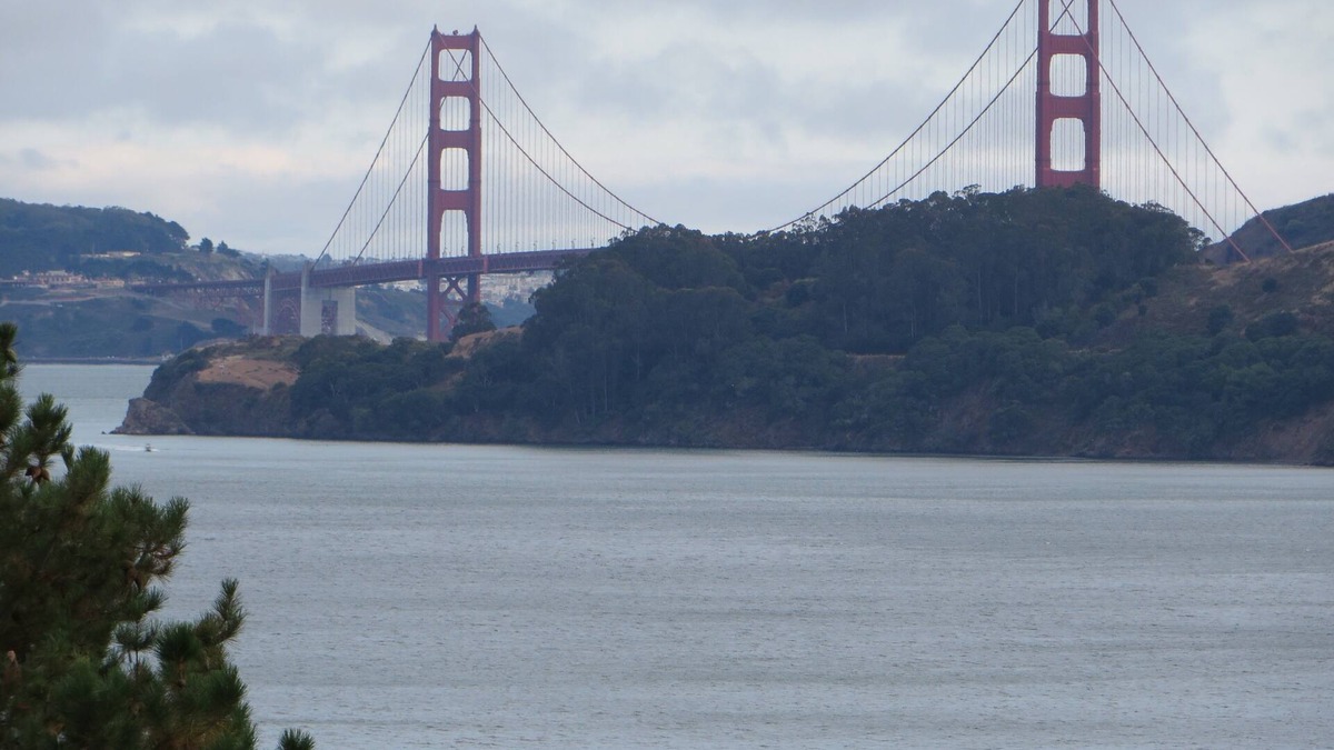 Belvedere Tiburon House | Belvedere Luxury Flat/Golden Gate Hideaway-Amazing Views of San Francisco Bay!