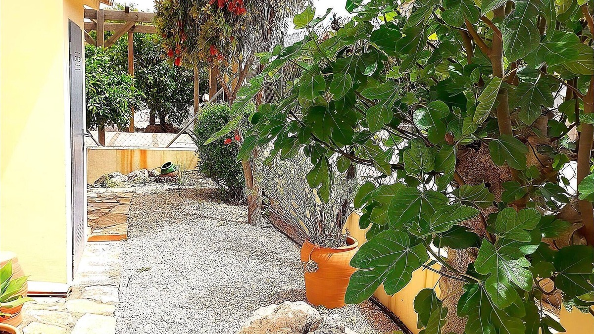 Rafol de Almunia Villa | Belvilla by OYO Casa Palmera