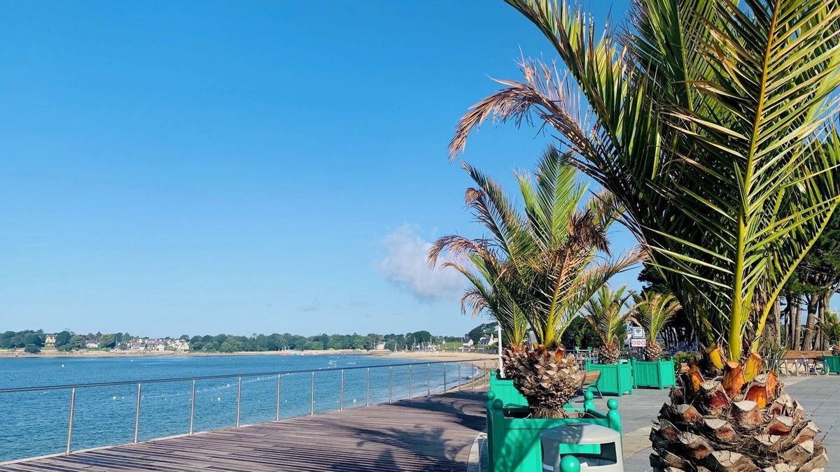 Benodet Apartment | Benodet 100m sea, charming T2 3⭐️ very bright new terrace sea view