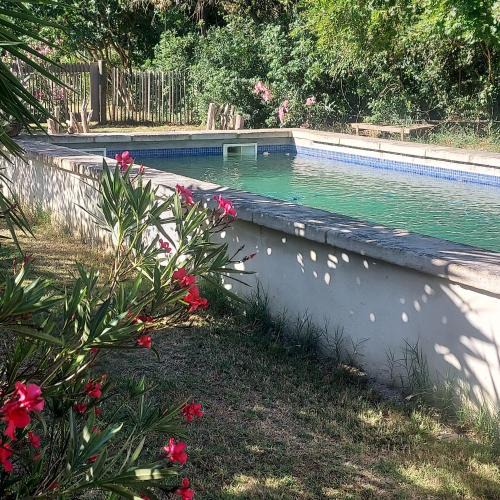 Arles Bed & Breakfast | Bergerie d'Alivon en Camargue