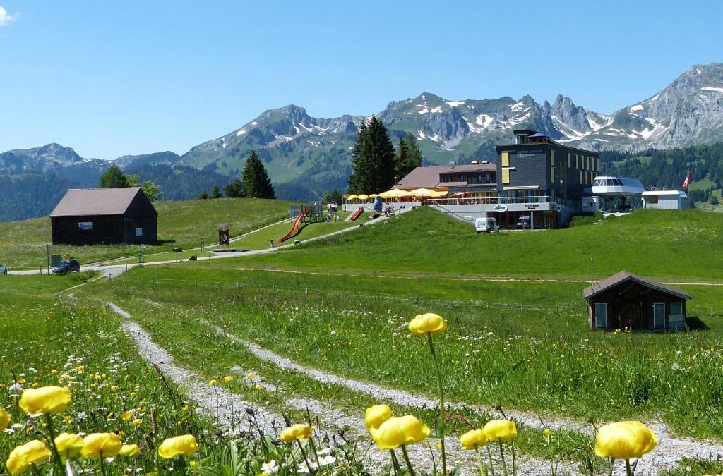 Wildhaus Hotel | Berggasthaus Oberdorf