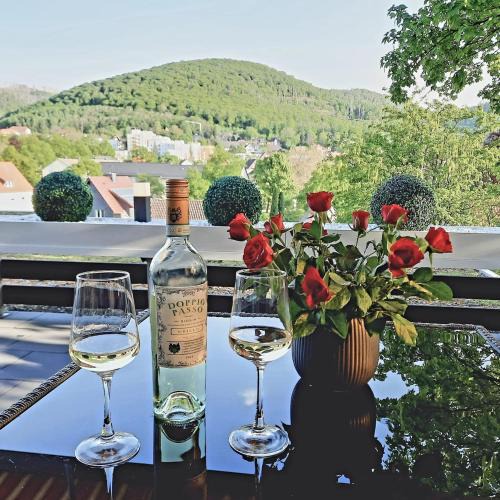 Bad Harzburg Apartment | Bergliebe 5 mit großer Terrasse, Tiefgarage & Lift