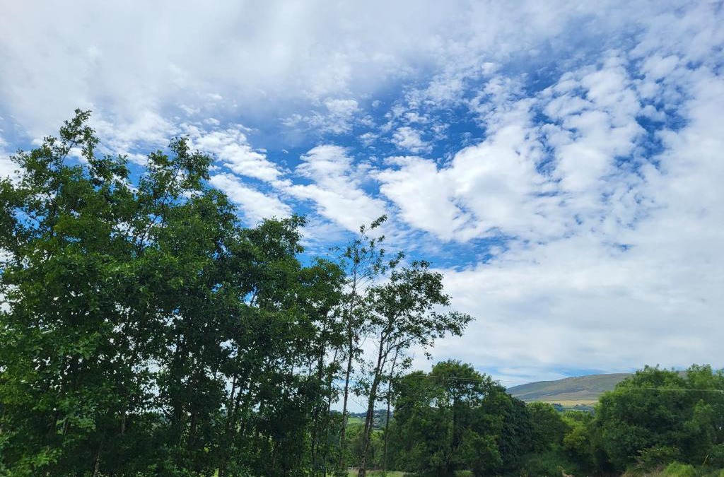 Barranisky House | Bespoke Double Bedroom Ensuite Gorey