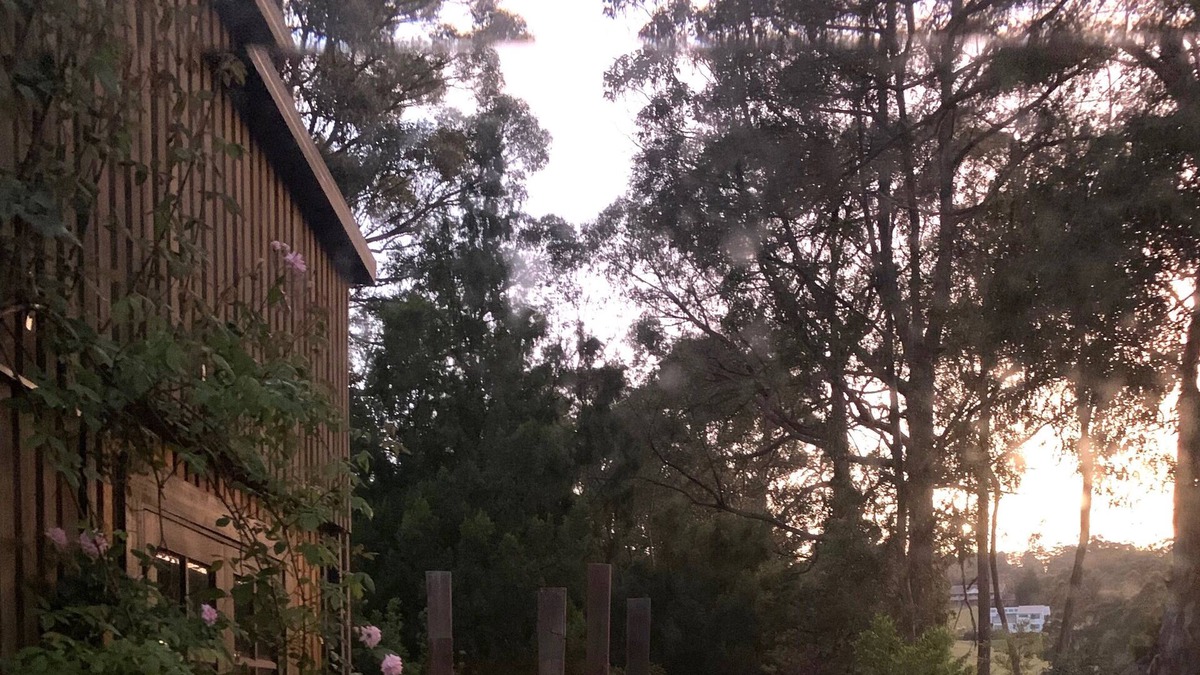 Abels Bay Cottage | Bespoke riverfront cottage nestled amongst the trees.