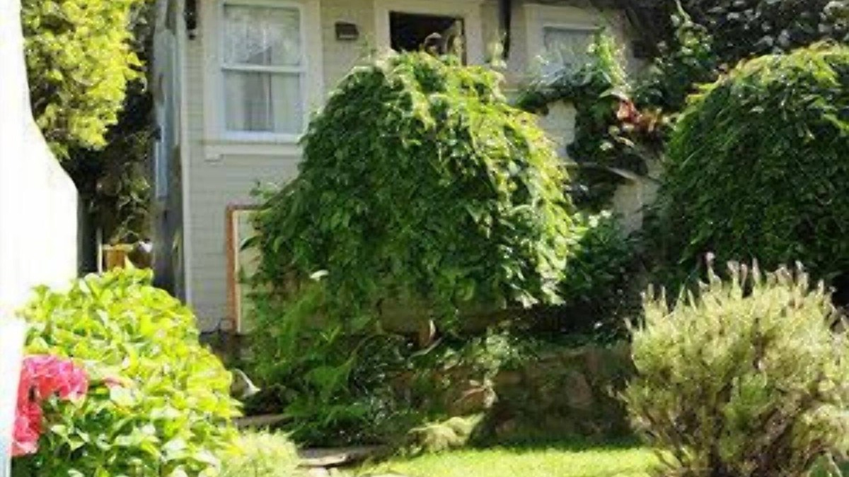 Pacific Heights Cottage | Best Central San Francisco Hidden Gem Luxury Cottage, Superb Location/Amenities