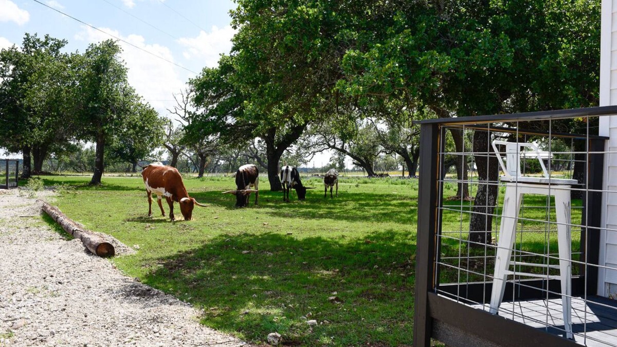 Fredericksburg House | Best Fredericksburg Bed & Breakfast