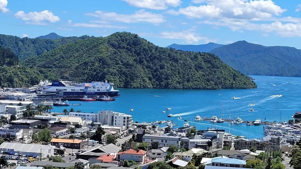 Picton Apartment | Best Harbour Views in Sunny Peaceful Location