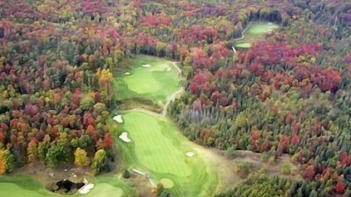 Gaylord Condo | Best location at Otsego Resort! Studio with Valley & golf course view!