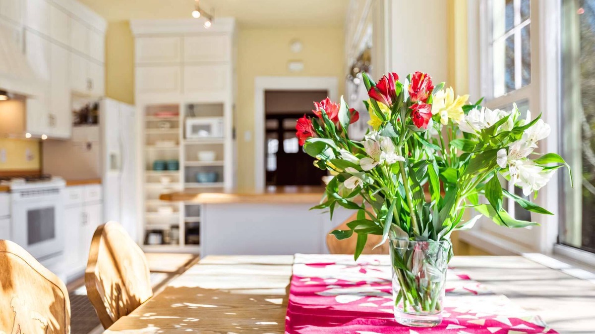 North End House | Best Location in Boise! 1912 Craftsman home in Hyde Park walk or bike everywhere!