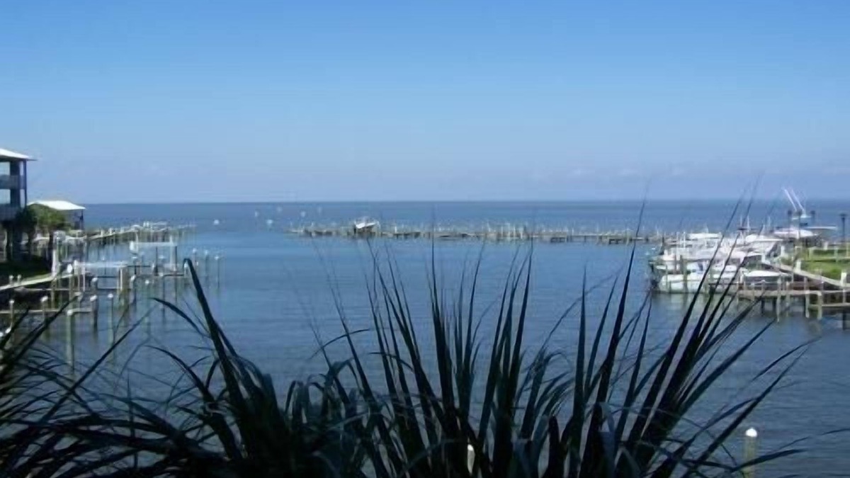 Fort Morgan Pines Condo | Best of Both Worlds, Unbelievable Views, I have another unit if booked.