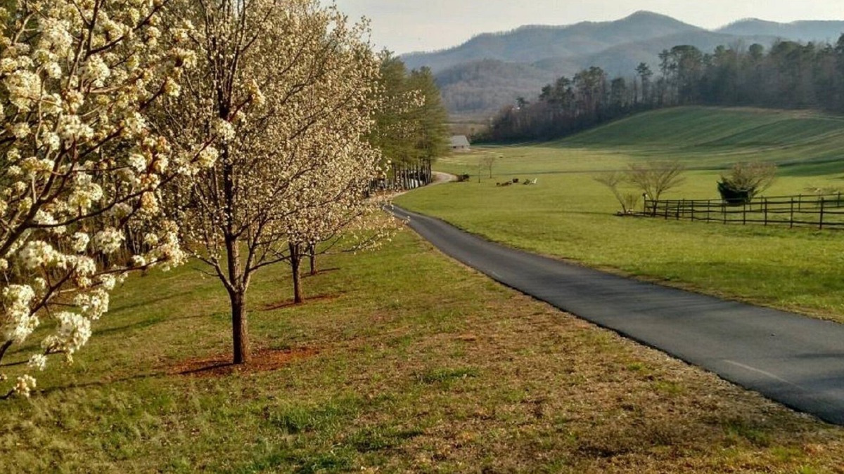 Franklin Apartment | Best Vacation Mountain Experience/* Forestry Student Special*