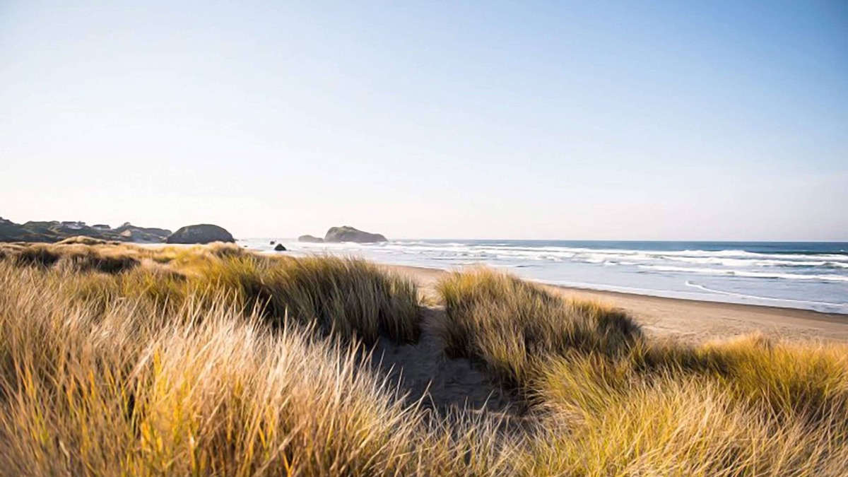 Bandon Hotel | Best Western Inn At Face Rock