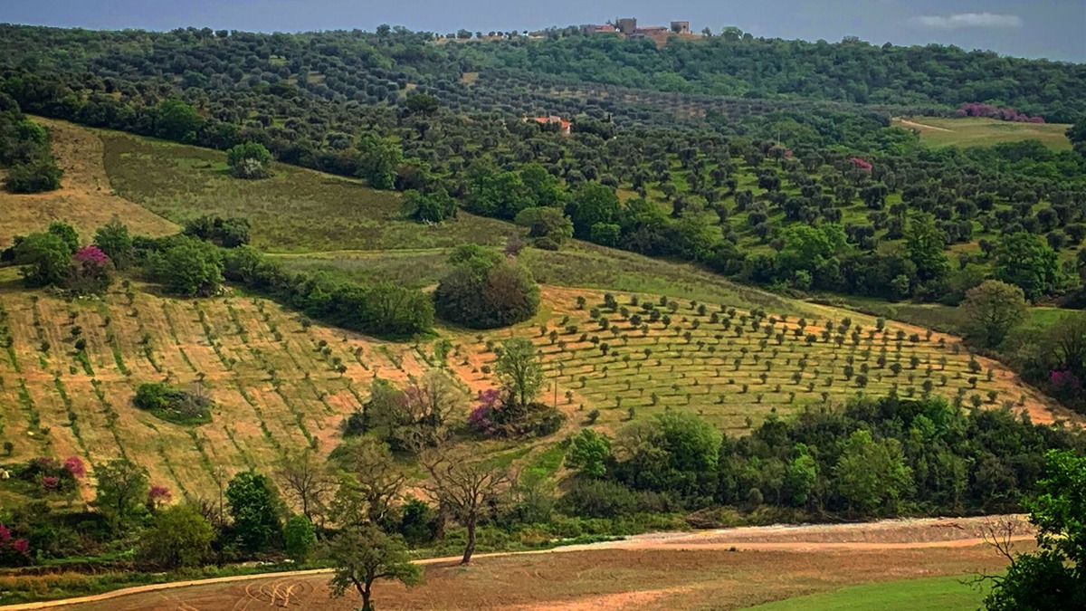 Magliano in Toscana Bed & Breakfast | Between the sea of Argentario, the thermal baths of Saturnia and the park of Maremma