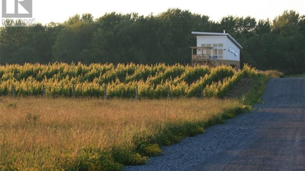 Wellington Cabin | Between the Vines