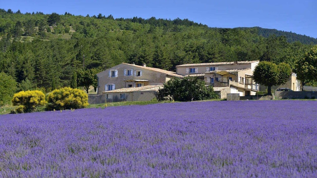 Aurel Other | Between Ventoux and Luberon *
