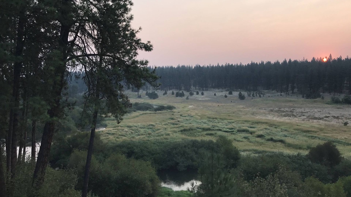 Colbert Apartment | Beyond The River’s Path - gorgeous, quiet, & close to town