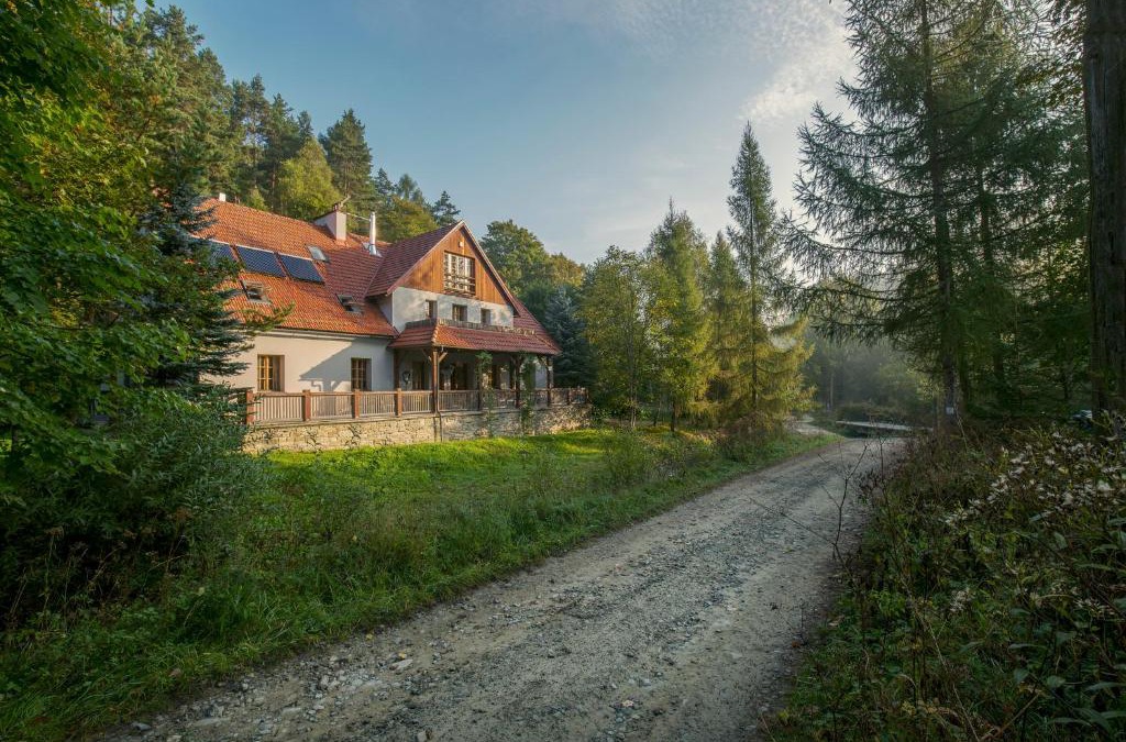 Uscie Gorlickie House | Biały Dom W ROPKI