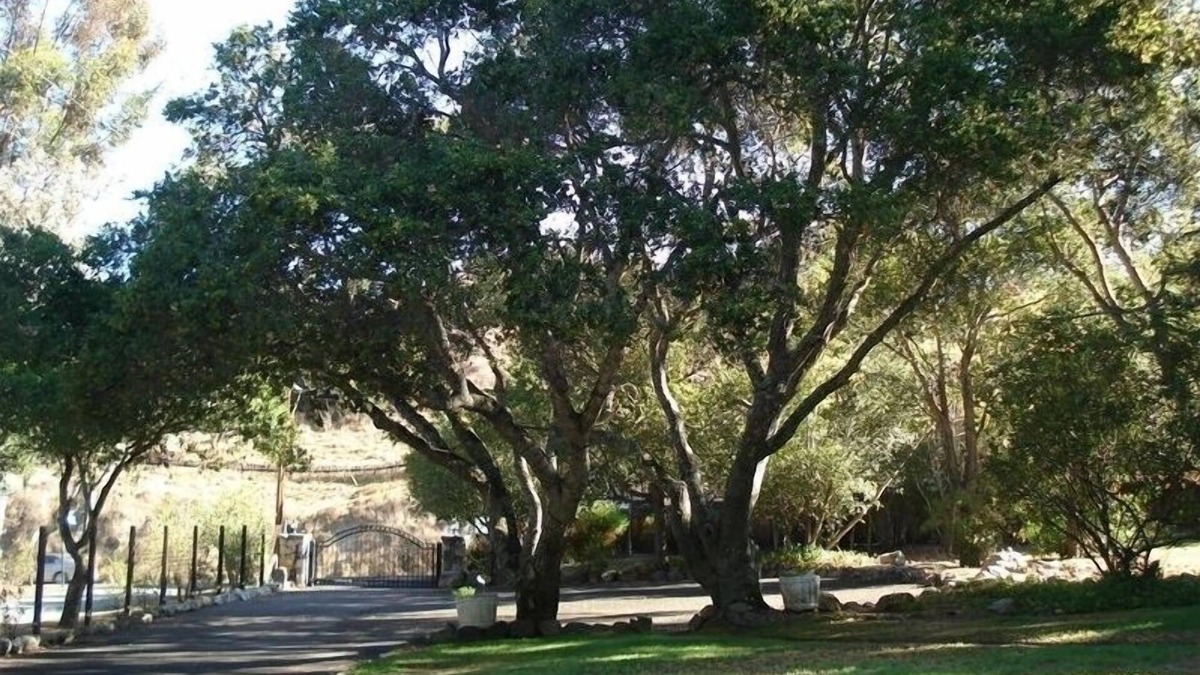 Salinas House | Big 3 Bedroom Home with a 1 Bedroom Guest House