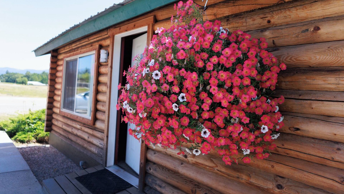St. Ignatius Hotel | Big Medicine Cabins