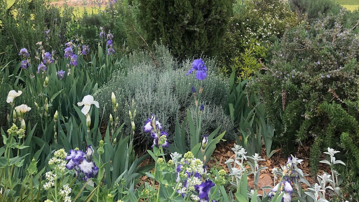 Massac House | Bijoux Cottage near Cognac